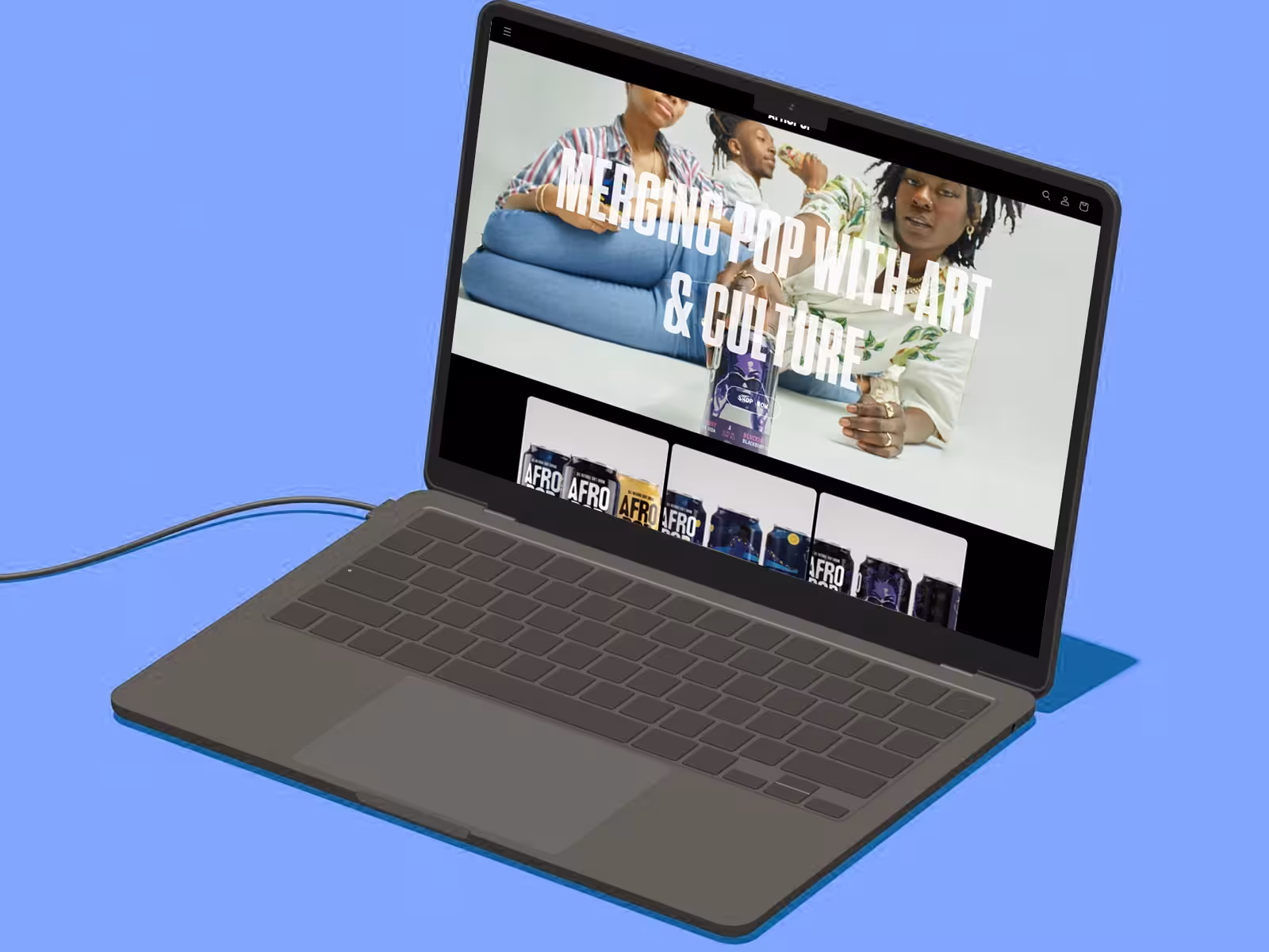 AfroPop Custom Platform Development